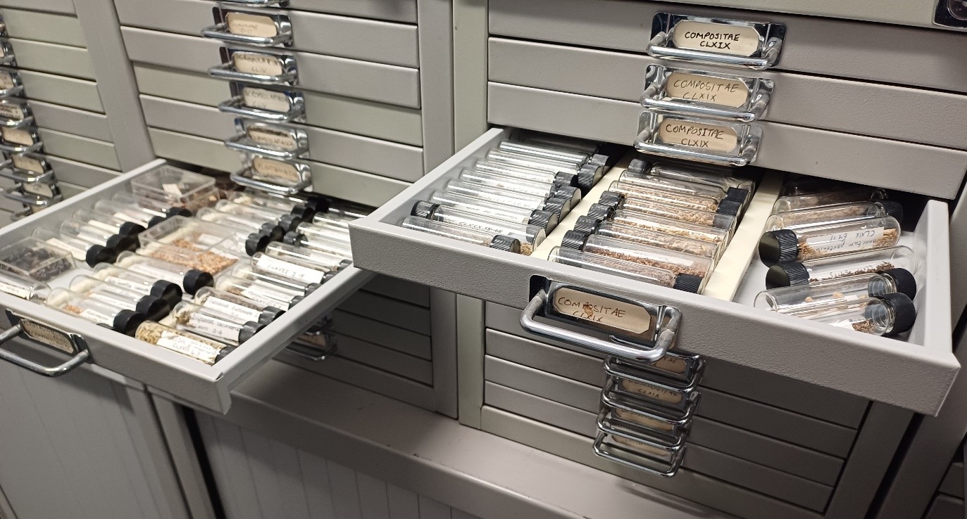 Archaeology plant specimens in small jars in drawers