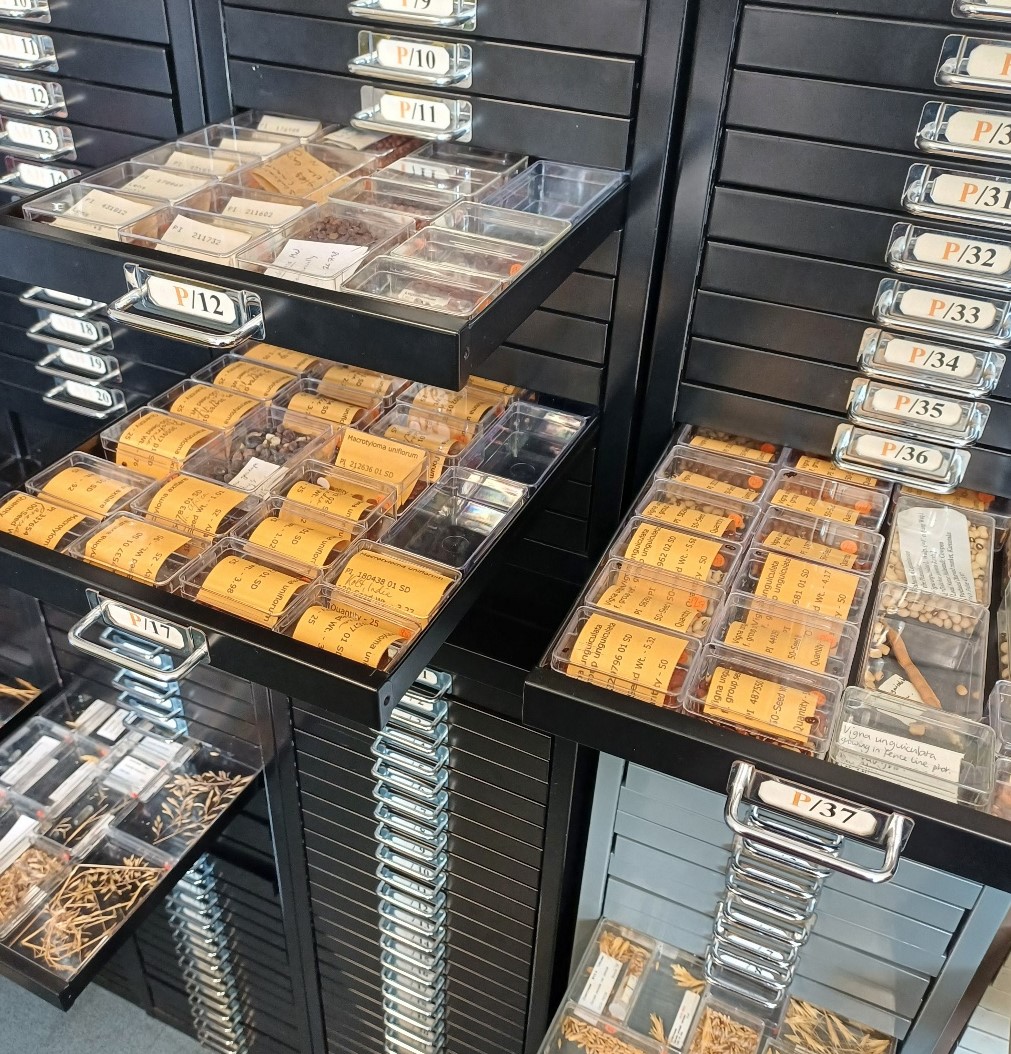 Archaeobotany storage cabinets