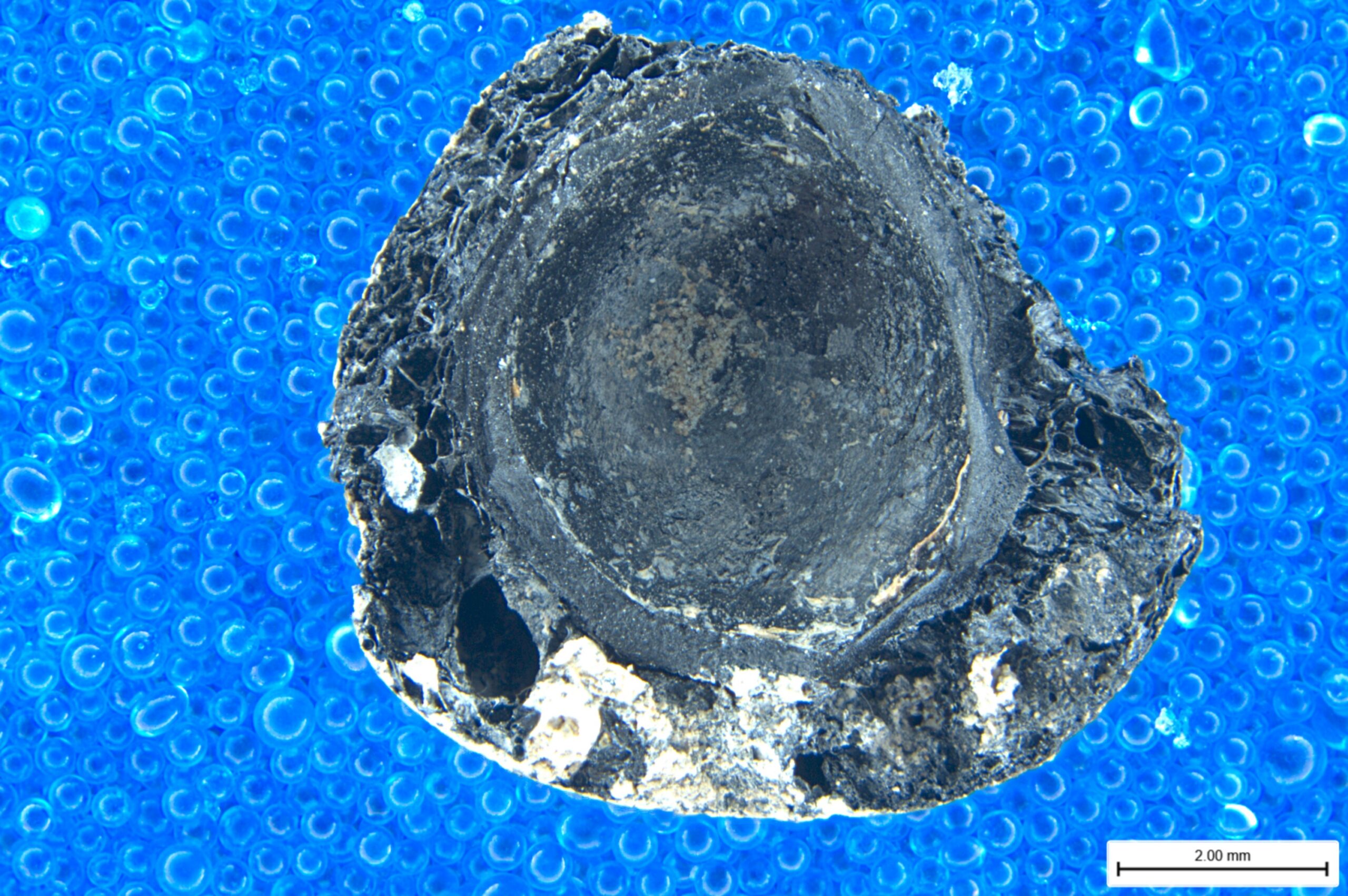 Archaeobotanical material from a Late Neolithic house floor at Durrington Walls.